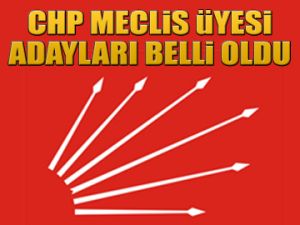 CHP Meclis üyesi adayları