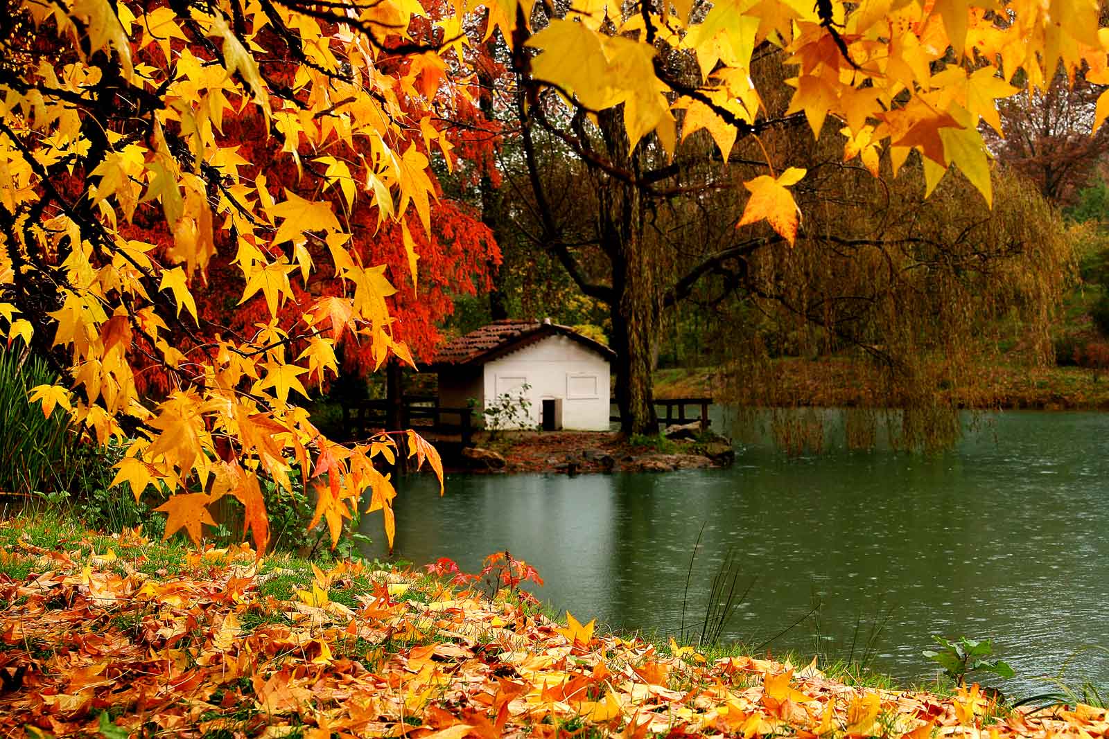 bahçeköy belgrad ormanı