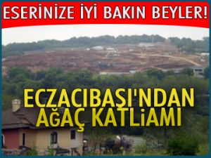 Eczacıbaşı’ndan ağaç katliamı