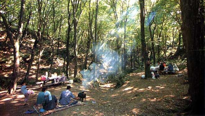 belgrad fatih ormanı piknik