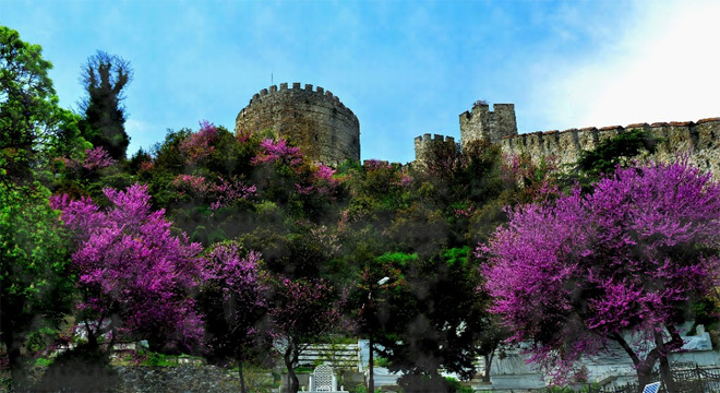 rumeli hisarı erguvan