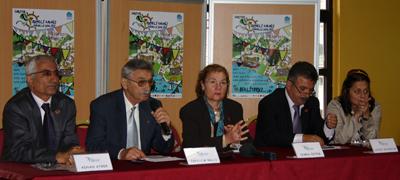 ibalciiceri_234830346.jpg